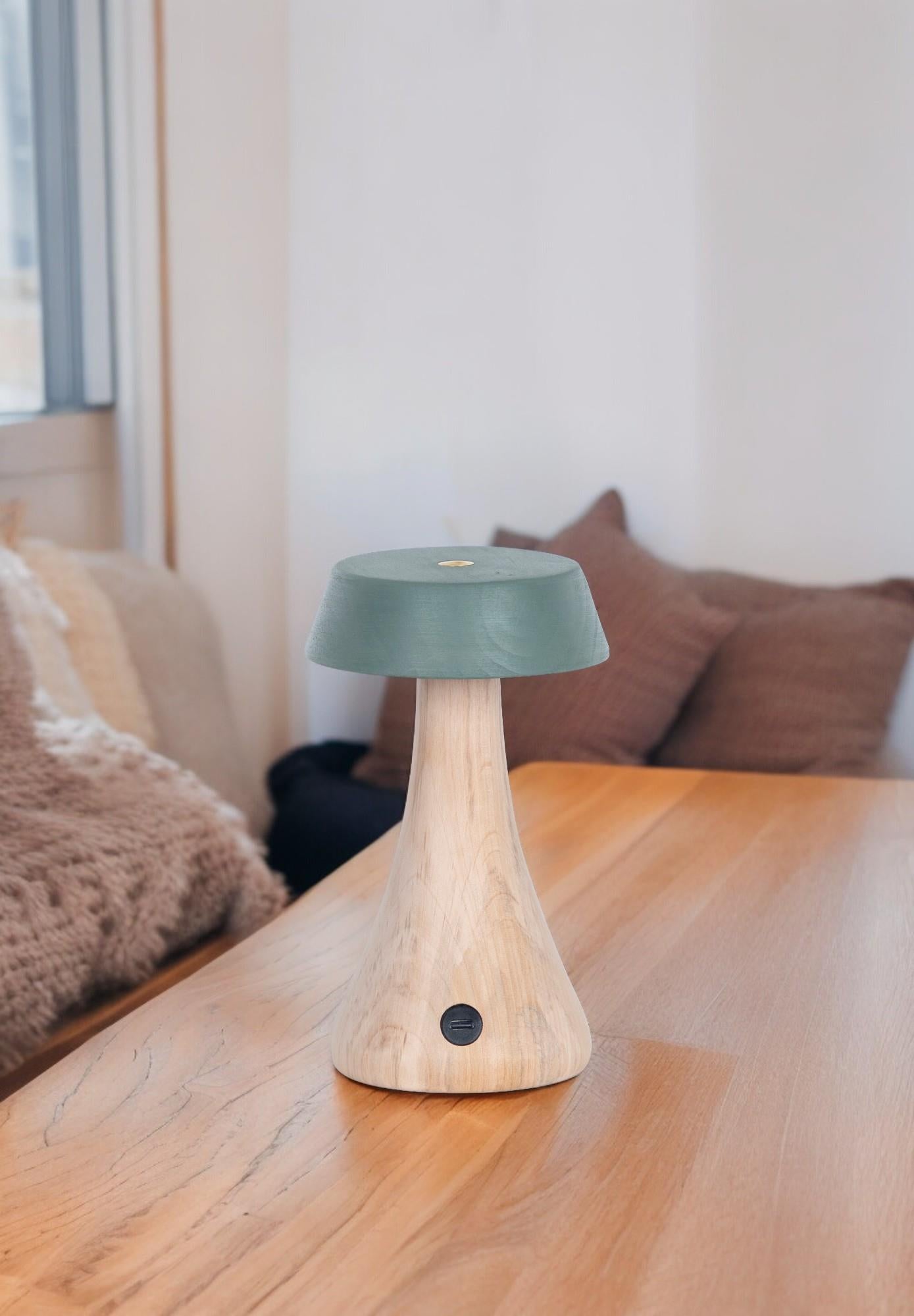 Morchella Rechargeable Green Table Lamp - Heka Lighting & Trading Limited