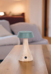 Morchella Rechargeable Green Table Lamp - Heka Lighting & Trading Limited